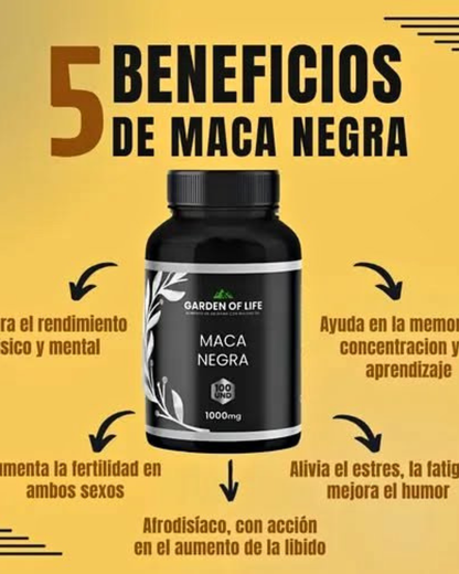 MACA NEGRA GARDEN OF LIFE
